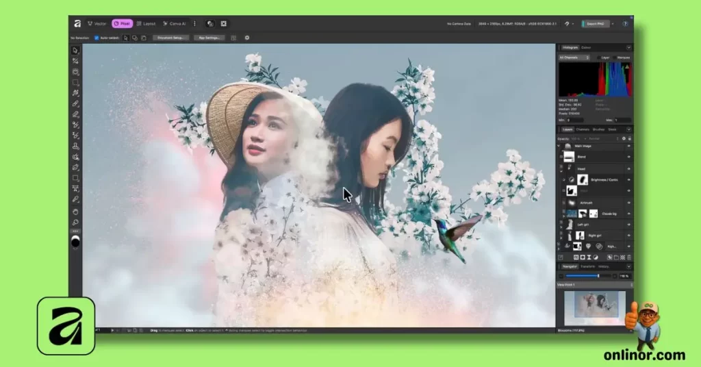 Affinity by Canva in 2026: A Neutral, Updated Look at the Free Professional Design App 3 Affinity by Canva desktop screenshot showing customizable studios for photo and vector professional editing.